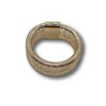 Anello molla